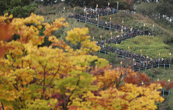 완연한 가을 날씨를 보인 22일 오전 서울 마포구 월드컵공원 내 하늘공원으로 가기 위해 시민들이 계단을 오르고 있다. /연합뉴스