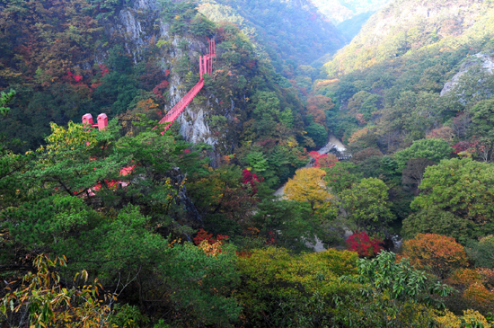 순창 강천산이 한국관광공사가 추천하는 11월 가볼만한 곳으로 선정됐다. 사진은 단풍든 현수교의 모습.