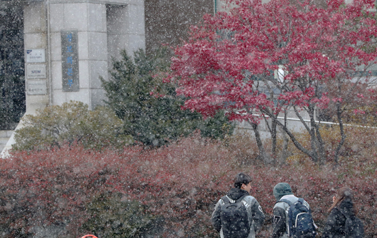 20일 오후 강원 춘천시 강원대학교 캠퍼스에 눈이 내리고 있다. 기상청은 경기북동내륙과 강원영서북부에 눈이 내리면서 일부 지역에는 눈이 쌓이는 곳이 있을 것으로 예보했다. /연합뉴스