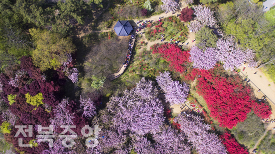 18일 포근한 봄 날씨와 함께 전주의 명소인 완산칠봉 투구봉 꽃동산에 만개한 겹벚꽃과 철쭉이 한폭의 수채화처럼 아름다운 풍경을 자아내고 있다./이원철기자