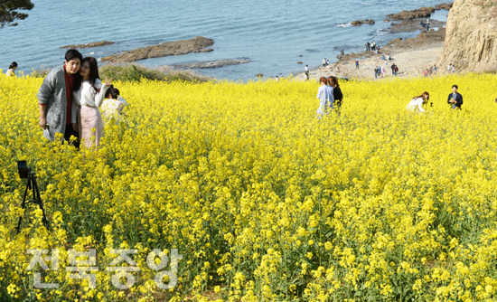 주말 휴일을 맞아 21일 부안군 수성당을 찾은 관광객들이 경관단지에 만발한 유채꽃과 바다를 배경으로 기념사진을 찍으며 화창한 봄날을 만끽하고 있다./이원철기자