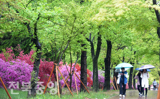 봄비가 촉촉히 내린 23일 전북대학교에서 학생들이 우산을 받고 초록빛으로 우거진 캠퍼스를 걷고 있다./이원철기자