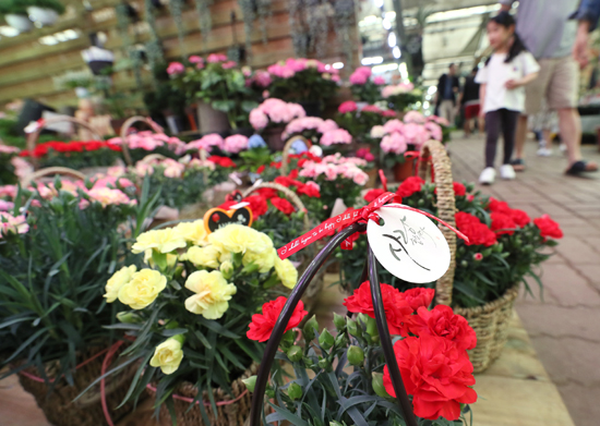 가정의 달인 5월의 첫날인 1일 오후 서울 서초구 양재꽃시장에 카네이션 화분 바구니가 진열돼있다. /연합뉴스