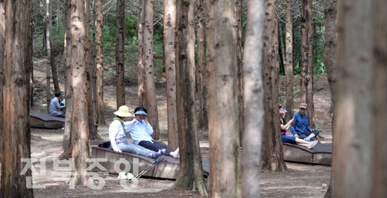 연일 계속되는 폭염에 전주 건지산 편백숲을 찾은 시민들이 무더위를 피해 나무 그늘에서 휴식을 취하고 있다./이원철기자