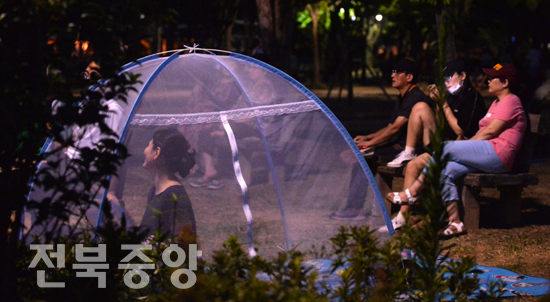 연일 기록적인 폭염에 열대야에 잠못 이루는 밤이 계속되면서 전주 도심 공원에서 시민들이 모기장 텐트를 치고 나무그늘에서 더위를 피하고 있다./이원철기자