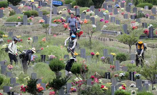 추석 연휴가 2주 앞으로 다가온 9일 부산 금정구 영락공원에서 작업자들이 예초기로 묘에 벌초를 하고 있다. /연합뉴스