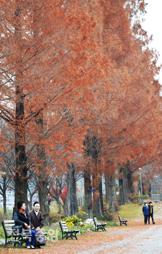 18일 전주 치명자산 성지를 찾은 시민들이 가는 가을의 아쉬움과 함께 '바람쐬는 길'을 따라 산책을 하며 막바지 늦가을 정취를 느끼고 있다./이원철기자