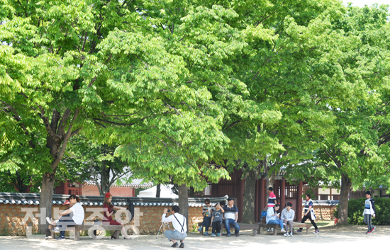 초여름 날씨를 보인 13일 전주 경기전을 찾은 관광객들이 강한 햇볕을 피해 나무그늘에 앉아 잠시 휴식을 취하고 있다./이원철기자