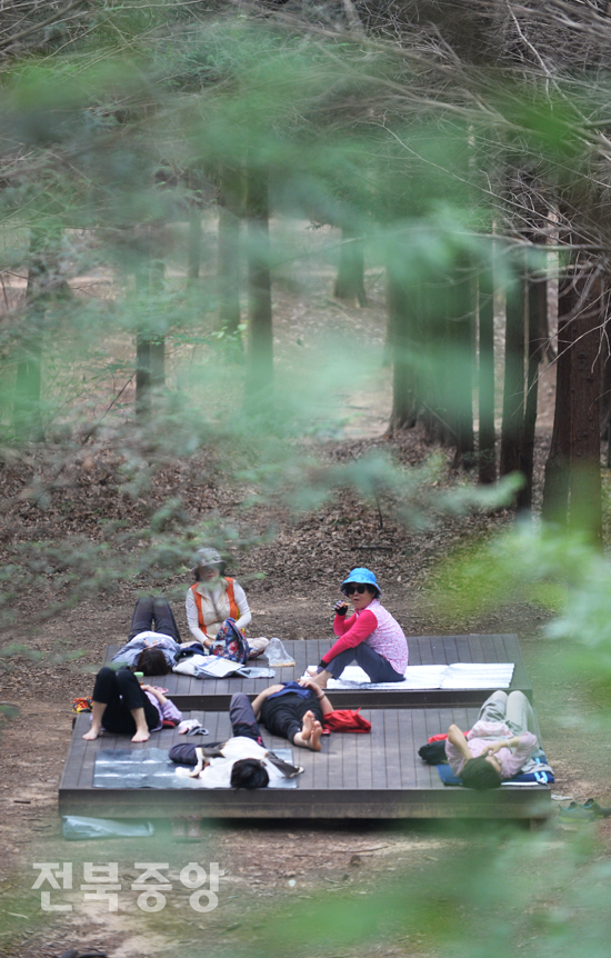 초여름 더운 날씨를 보인 17일 전주 건지산 편백나무 숲에서 시민들이 시원한 그늘에서 휴식을 취하고 있다./이원철기자