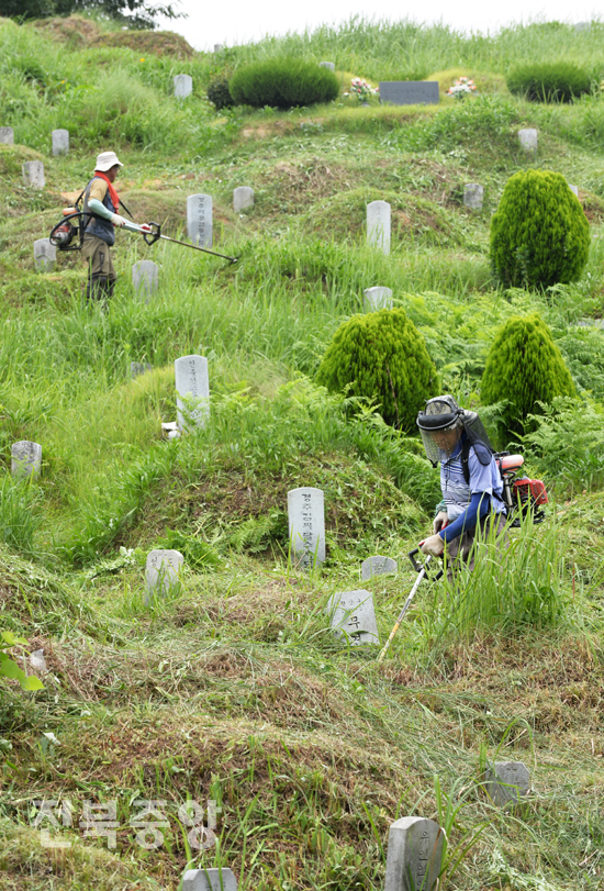 추석 명절을 10여일 앞둔 1일 전주시 효자공원묘지에서 시민들이 조상묘에 자란 잡초를 제거하며 벌초를 하고 있다./이원철기자