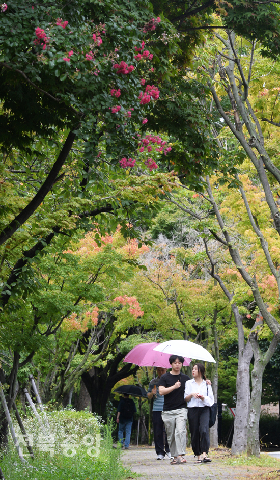가을장마비가 내린 3일 전북대학교에서 학생들이 우산을 받고 가을빛으로 물들어가는 교정을 걷고 있다./이원철기자