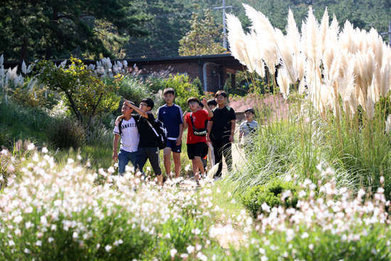 전형적인 초가을 날씨를 보인 18일 충남 태안군 소원면 천리포수목원을 찾은 어린이들이 팜파스그라스 등 만발한 가을꽃 사이를 걷고 있다. /연합뉴스