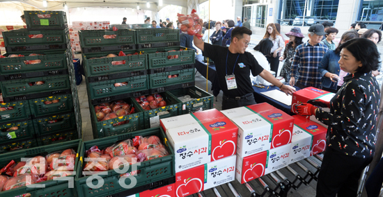 지난 27-29일 3일간 전북도청 광장에서 열린 전북 사과 소비촉진 진판 행사에 참가한 시민들이 저렴한 가격에 사과를 구입하고 있다. /이원철기자