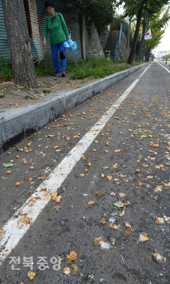 30일 전주시 팔복동에서 한 시민이 인도에 떨어져 냄새가 심한 은행나무 열매를 피해 걷고 있다./이원철기자