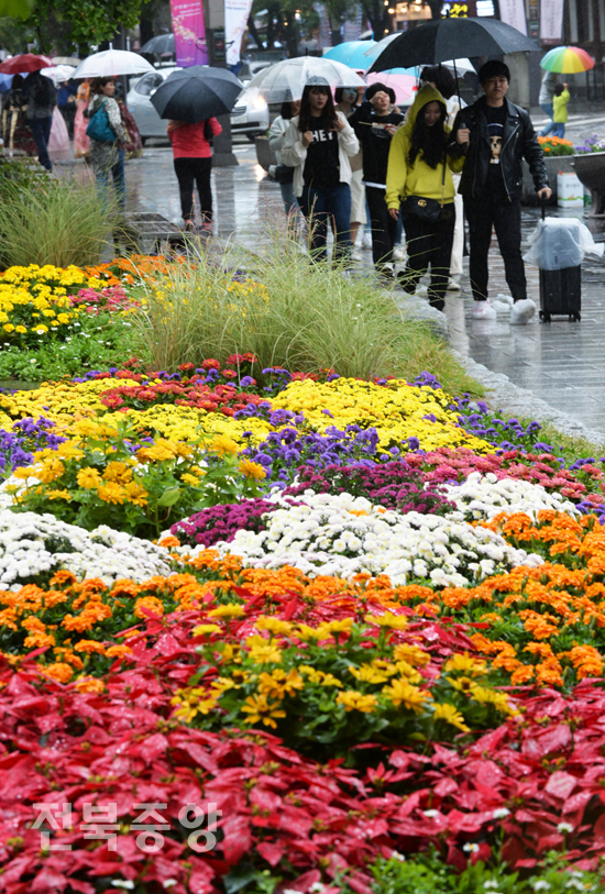 가을비가 내린 7일 전주한옥마을 경기전 앞 꽃밭길을 관광객들이 우산을 받고 걸어가고 있다./이원철기자