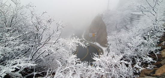 강원 산간에 눈이 내린 25일 눈꽃이 만발한 한계령에서 차량이 서행하고 있다. /연합뉴스