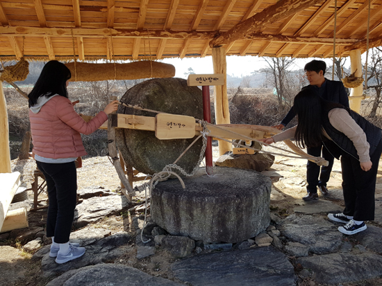 충북 괴산군 청안면 조천1리 주민들이 마을에 방치됐던 도구들을 사용해 복원한 연자방아. /연합뉴스