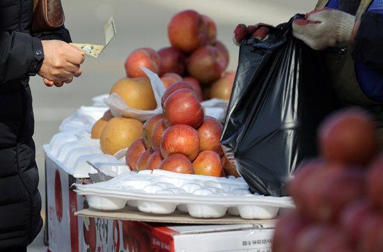 27일 농수산물종합도매시장에서 한 시민이 사과를 구매하고 있다. 특히 과일류에서 사과(부사 3개)의 경우 가격이 지난해 설에는 9천∼9천980원이었지만 올해는 1만2천∼1만8천 원으로 33.3∼88.5% 올랐다. /연합뉴스