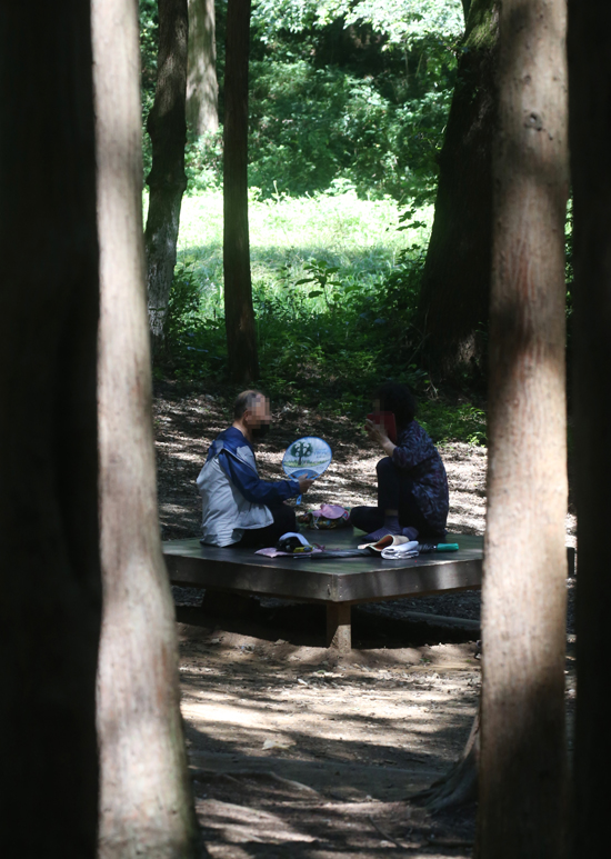 전주에 폭염 경보가 내려진 22일 건지산 편백숲을 찾은 시민들이 그늘에 앉아 쉬고 있다. /연합뉴스