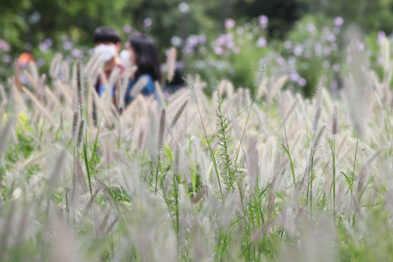 초가을 날씨를 보인 5일 오후 서울 영등포구 양화한강공원에서 시민들이 산책을 하고 있다. /연합뉴스