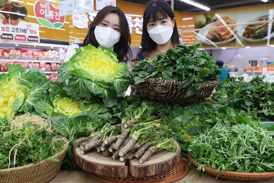 12일 오전 서울 서초구 농협 하나로마트 양재점에서 직원들이 '봄나물 모음전'을 선보이고 있다. /연합뉴스