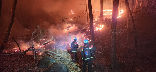도내에서 최근 10년 봄철에 발생한 화재는 6,004건에 이른다.