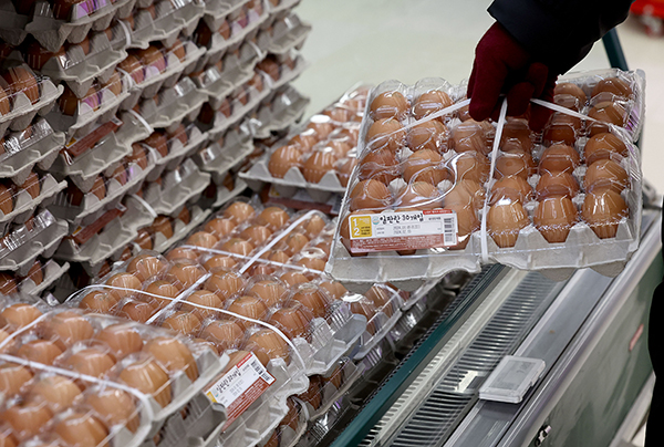 강추위와 조류 인플루엔자(AI) 확산세로 계란 가격이 오르는 가운데 10일 오후 한 대형 마트에서 시민들이 계란을 구매하고 있다. 지난 9일 축산물품질평가원 축산유통정보에 따르면 계란 한판의 평균 소비자 판매 가격은 지난해 12월8일 가격(6182원) 대비 13.4% 상승한 7012원이다. /연합뉴스