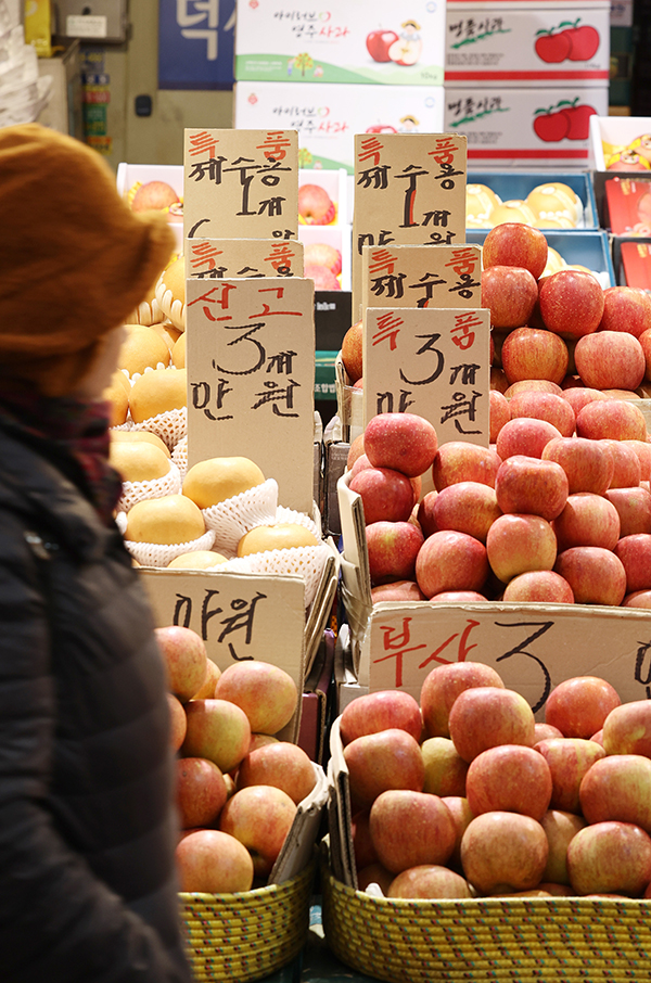 21일 시내 한 재래시장에서 시민들이 과일을 살펴보고 있다. 한국농수산식품유통공사(aT) 농산물유통정보에 따르면 설 연휴 3주 전인 지난 19일 기준 사과(후지·상품) 도매가격은 10㎏에 8만8천880원으로 1년 전, 평년과 비교해 각각 95.9%, 79.4% 비싸다. 배(신고·상품)는 15㎏에 7만7천740원으로 1년 전보다 66.2% 올랐고 평년보다 46.0% 비싼 것으로 나타났다. /연합뉴스