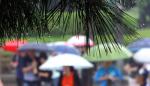 초여름 더위를 식혀주는 비가 내린 27일 오후 한 횡단보도에서 우산을 쓴 시민들이 발걸음을 재촉하고 있다.