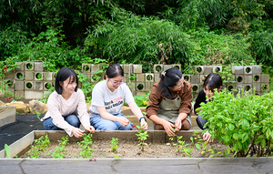 "우리 동네가 브랜드 된다" 전북여행 모든것, 대세는 로컬관광 - 뉴스 썸네일 이미지